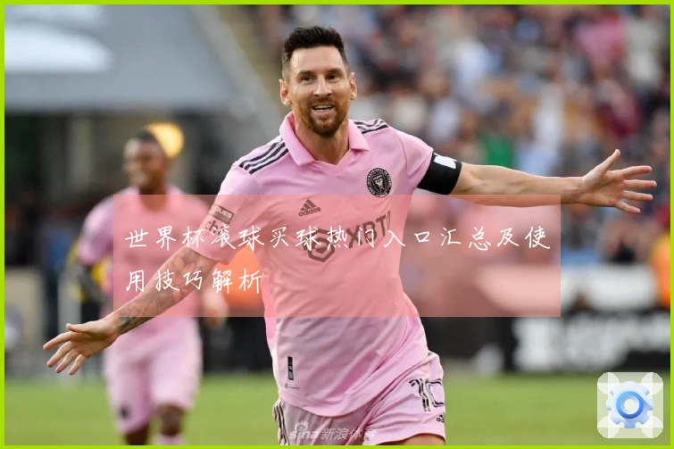 世界杯滚球买球热门入口汇总及使用技巧解析