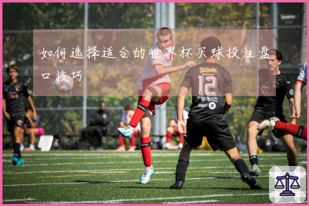 如何选择适合的世界杯买球投注盘口技巧