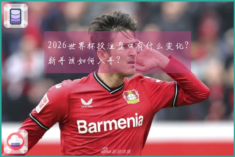 2026世界杯投注盘口有什么变化？新手该如何入手？