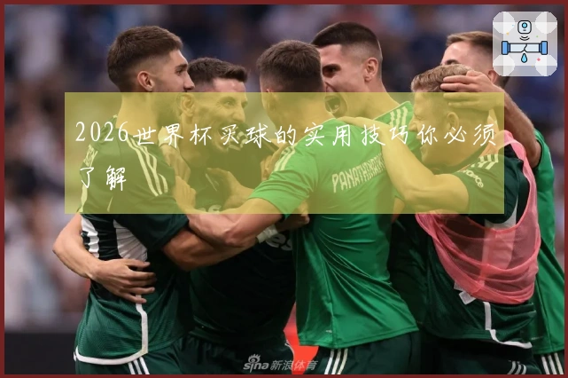 2026世界杯买球的实用技巧你必须了解