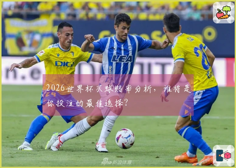 2026世界杯买球赔率分析，谁将是你投注的最佳选择？