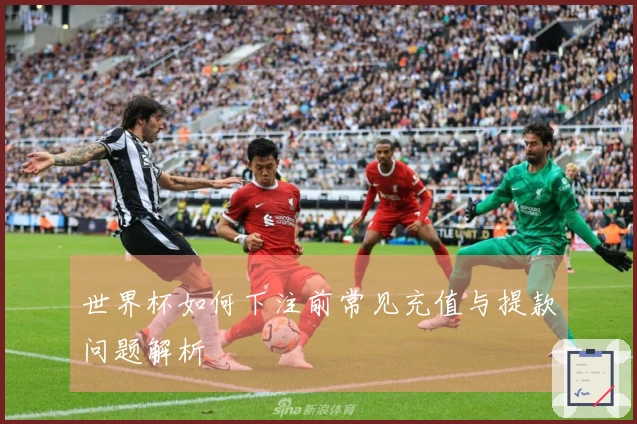 世界杯如何下注前常见充值与提款问题解析