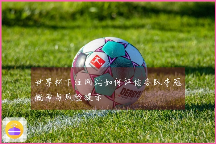 世界杯下注网站如何评估各队夺冠概率与风险提示