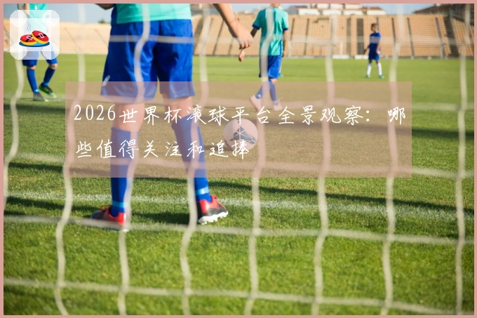 2026世界杯滚球平台全景观察：哪些值得关注和追捧
