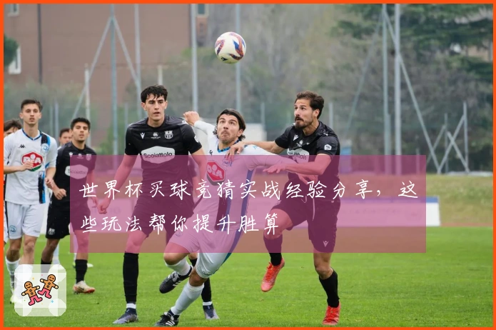 世界杯买球竞猜实战经验分享，这些玩法帮你提升胜算
