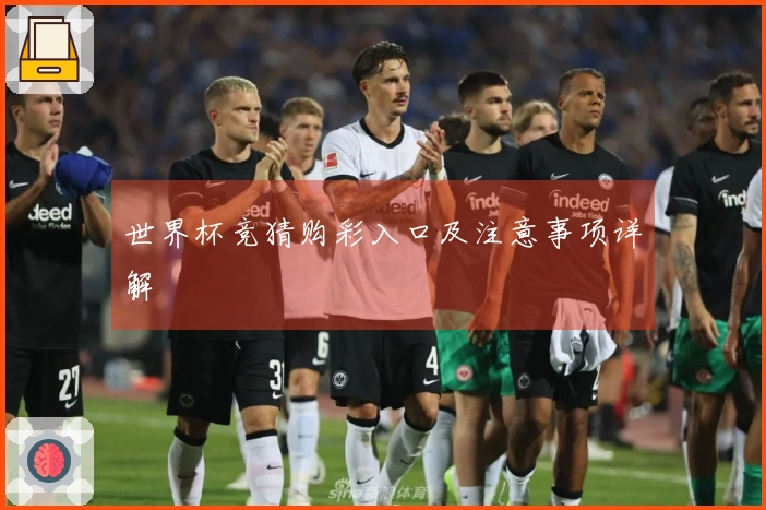 世界杯竞猜购彩入口及注意事项详解