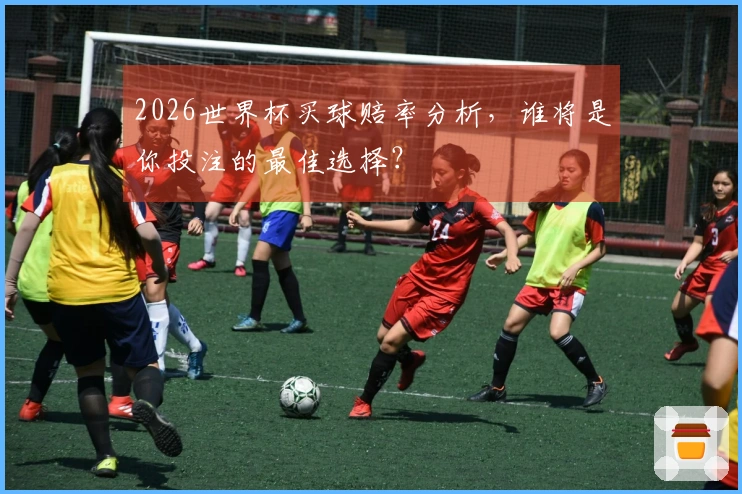2026世界杯买球赔率分析，谁将是你投注的最佳选择？