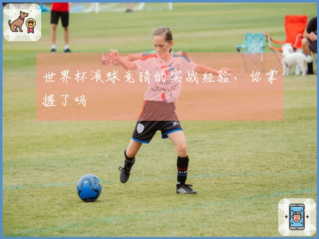 世界杯滚球竞猜的实战经验，你掌握了吗