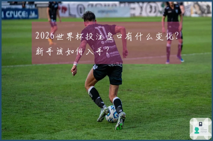 2026世界杯投注盘口有什么变化？新手该如何入手？