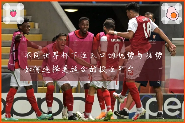 不同世界杯下注入口的优势与劣势如何选择更适合的投注平台