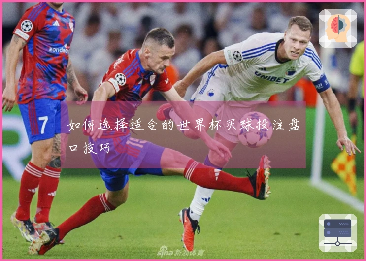 如何选择适合的世界杯买球投注盘口技巧