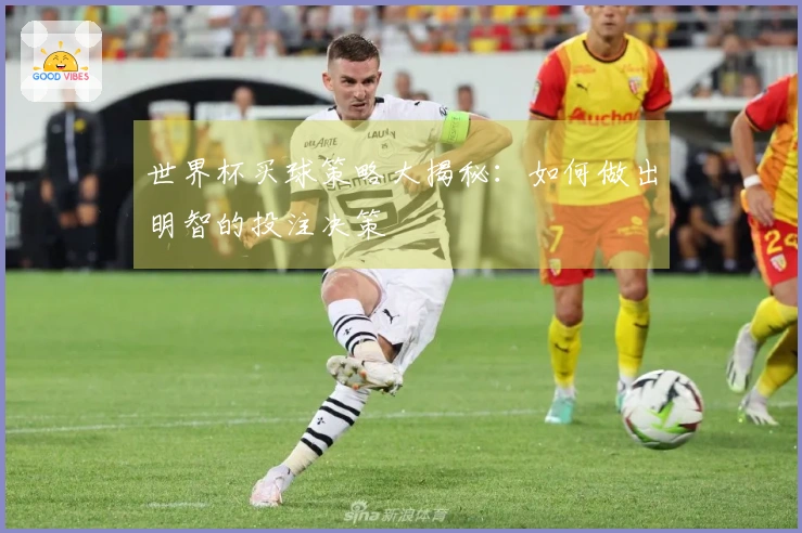 世界杯买球策略大揭秘：如何做出明智的投注决策