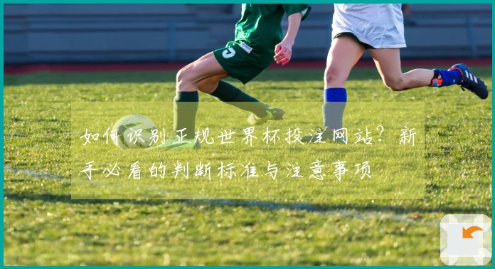 如何识别正规世界杯投注网站？新手必看的判断标准与注意事项