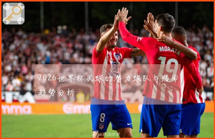 2026世界杯买球的潜力球队与赔率趋势分析